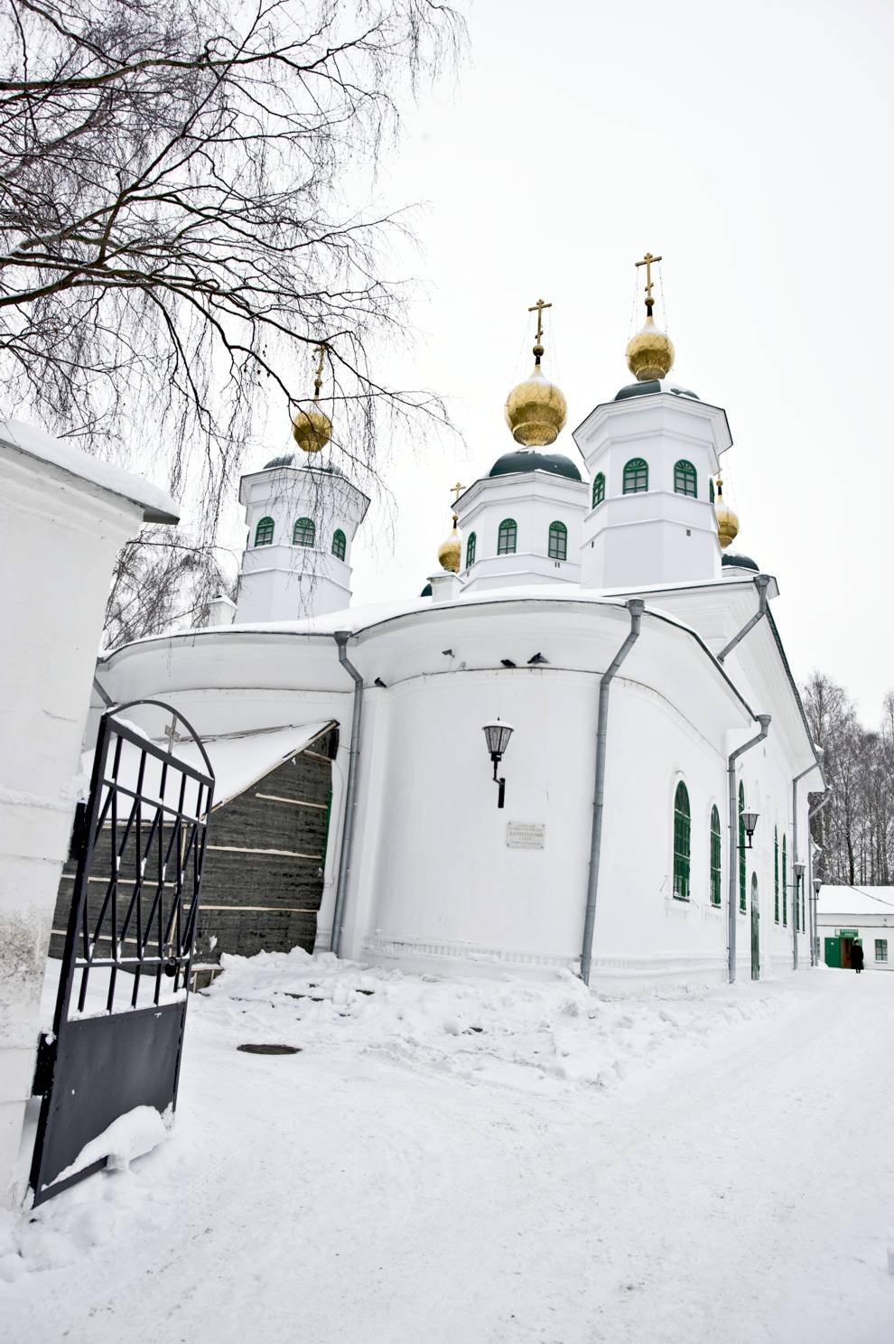 Cherepovets
Russia. Vologda Region. Cherepovetskii District
Cathedral of the ResurrectionSobornaia Gorka 1
2010-01-01
© Photographs by William Brumfield