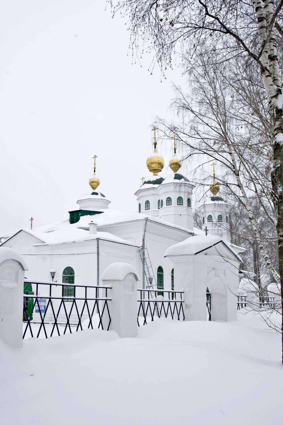 Cherepovets
Russia. Vologda Region. Cherepovetskii District
Cathedral of the ResurrectionSobornaia Gorka 1
2010-01-01
© Photographs by William Brumfield