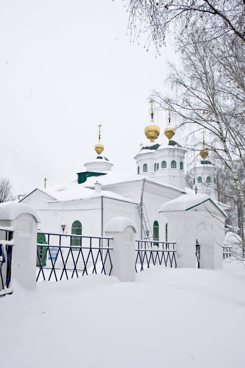 Череповец, г.
Россия. Вологодская обл.. Череповецкий р-н
Собор Воскресения ХристоваСоборная горка 1
2010-01-01
© Фотографии Уильяма Брумфилда