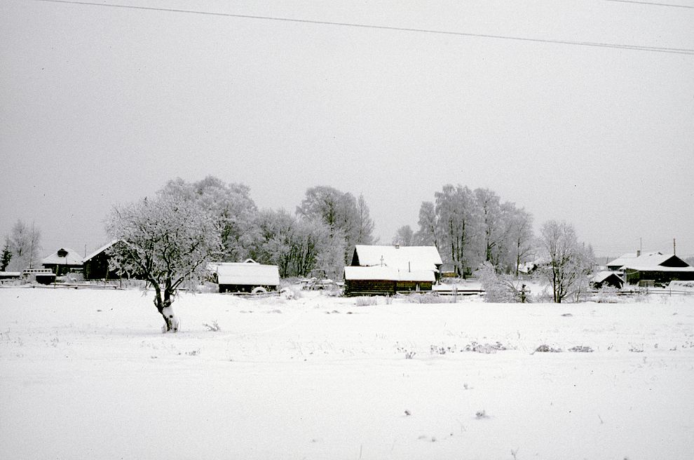 Saunino
Russia. Arkhangelsk Region. Kargopol District
Village panorama
1999-01-04
© Photographs by William Brumfield