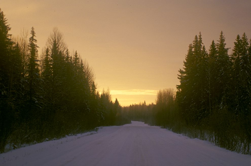 Lekshma
Russia. Arkhangelsk Region. Kargopol District
Road from Lekshma to Patrovskaia
1999-11-26
© Photographs by William Brumfield