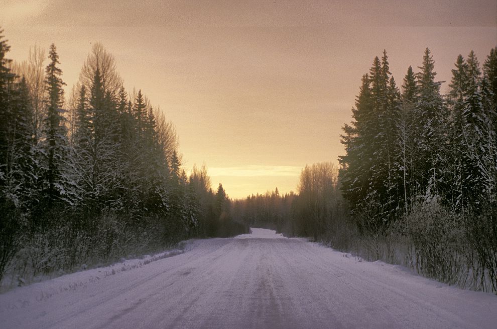 Lekshma
Russia. Arkhangelsk Region. Kargopol District
Road from Lekshma to Patrovskaia
1999-11-26
© Photographs by William Brumfield