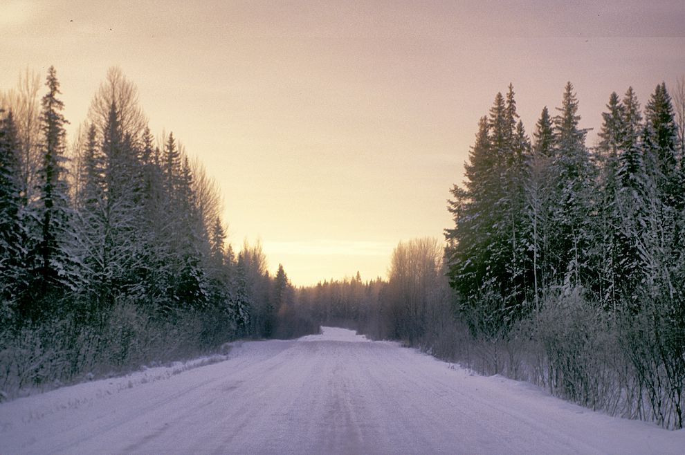 Lekshma
Russia. Arkhangelsk Region. Kargopol District
Road from Lekshma to Patrovskaia
1999-11-26
© Photographs by William Brumfield