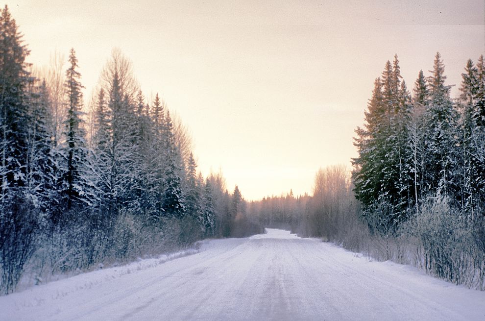 Lekshma
Russia. Arkhangelsk Region. Kargopol District
Road from Lekshma to Patrovskaia
1999-11-26
© Photographs by William Brumfield