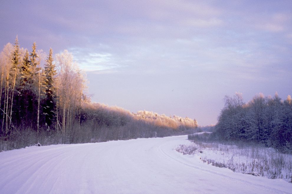 Lekshma
Russia. Arkhangelsk Region. Kargopol District
Road from Lekshma to Patrovskaia
1999-11-26
© Photographs by William Brumfield