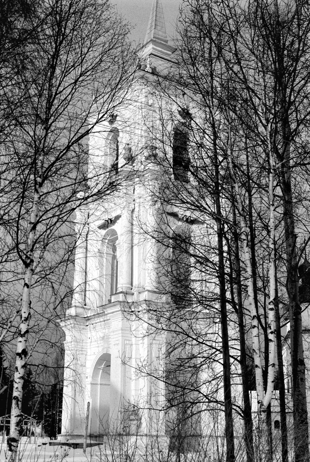 Kargopol
Russia. Arkhangelsk Region. Kargopol District
Cathedral bell towerSobornaia Square
1998-02-27
© Photograph by William Brumfield