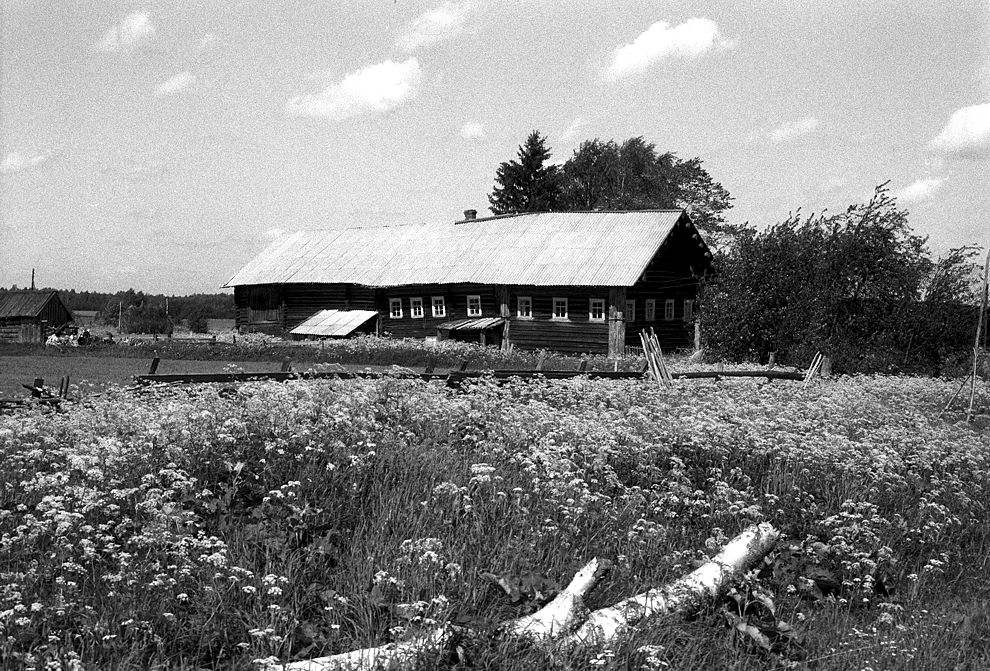 Bolshoi Khalui
Russia. Arkhangelsk Region. Kargopol District
Log house
1998-06-18
© Photograph by William Brumfield