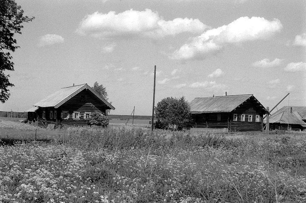 Bolshoi Khalui
Russia. Arkhangelsk Region. Kargopol District
Log house
1998-06-18
© Photograph by William Brumfield