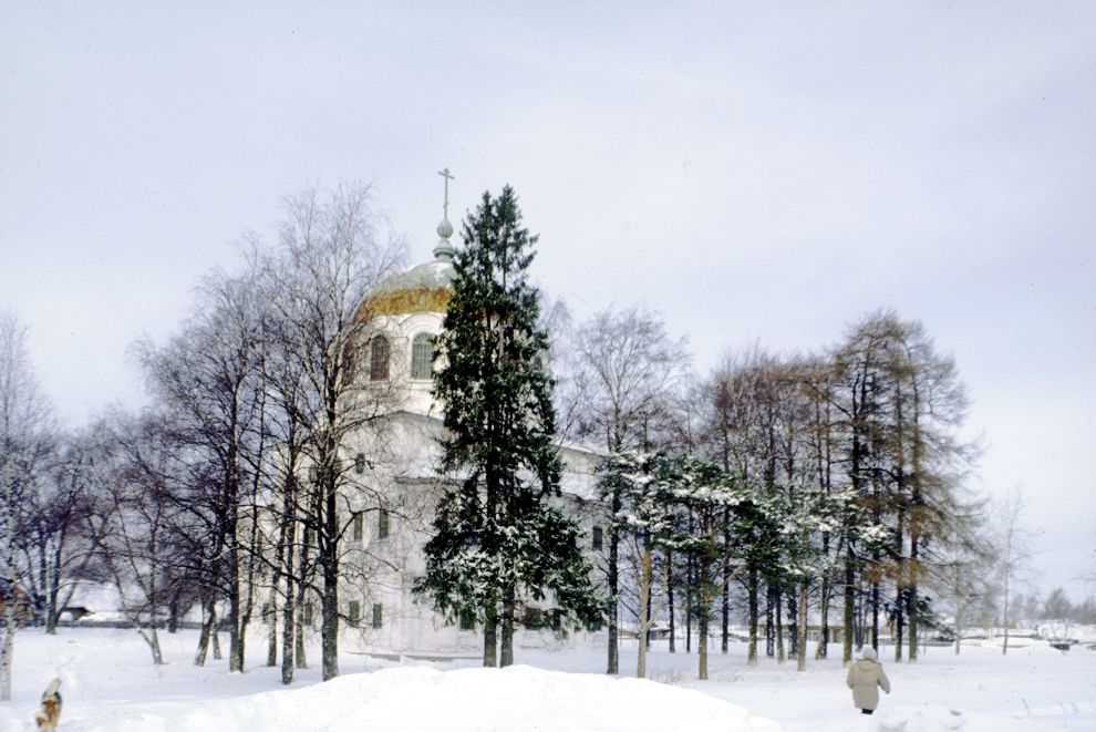 Kargopol
Russia. Arkhangelsk Region. Kargopol District
Church of the Trinity
1998-02-27
© Photographs by William Brumfield