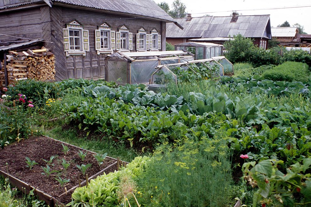 Kargopol
Russia. Arkhangelsk Region. Kargopol District
Valentin Shevelev house
1998-07-29
© Photographs by William Brumfield