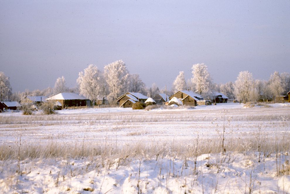 Pozdyshevo
Russia. Arkhangelsk Region. Kargopol District
Village panorama
1999-11-27
© Photographs by William Brumfield