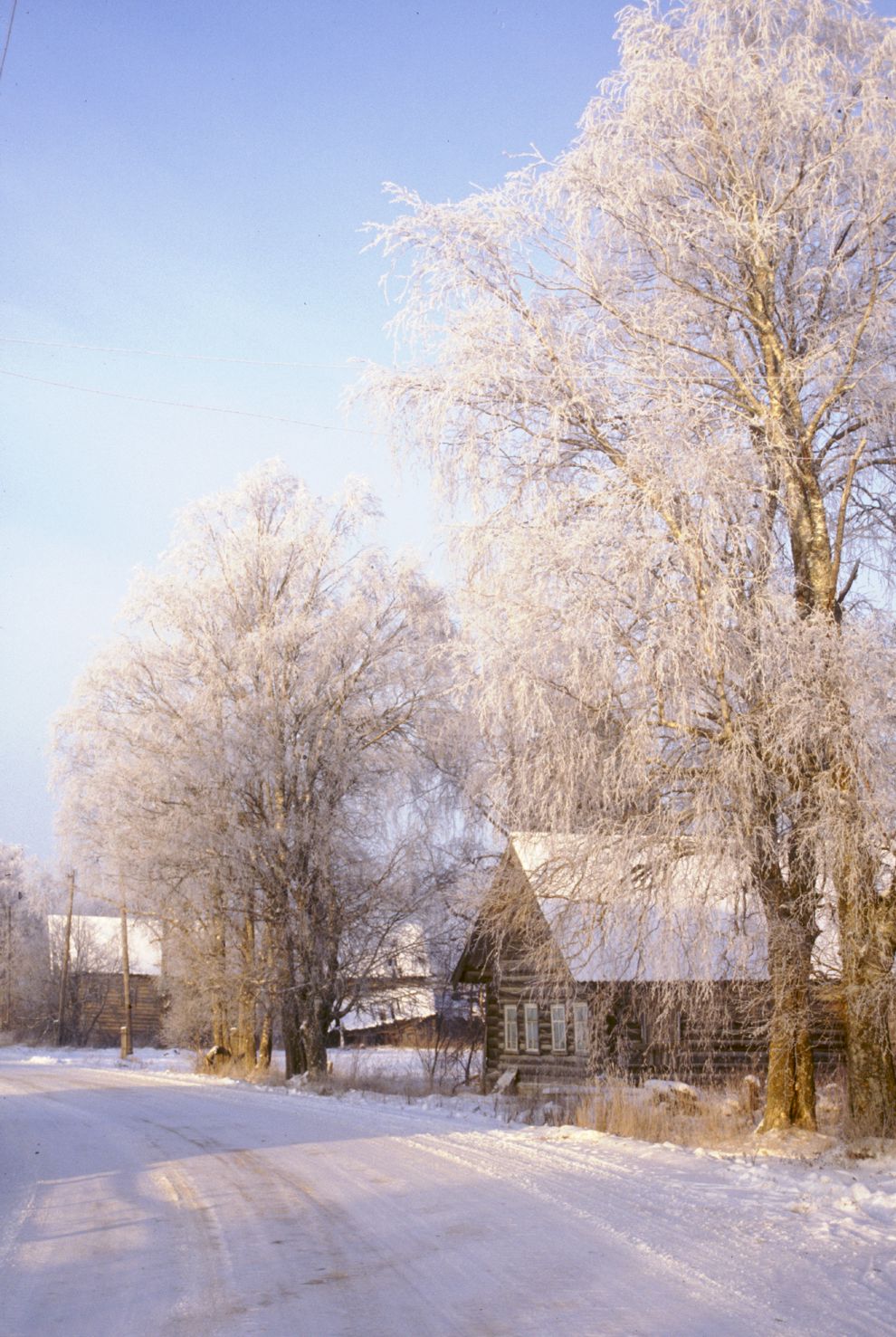 Pozdyshevo
Russia. Arkhangelsk Region. Kargopol District
Village panorama
Log houses
1999-11-27
© Photographs by William Brumfield