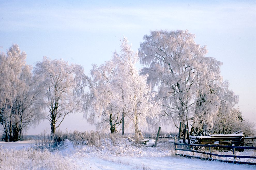 Pozdyshevo
Russia. Arkhangelsk Region. Kargopol District
Village panorama
Winter landscape
1999-11-27
© Photographs by William Brumfield