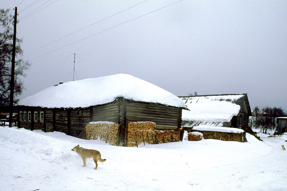 Pogost (one of 3 hamlets comprising village of Oshevensk)
Russia. Arkhangelsk Region. Kargopol District
Log house with painted door
1998-02-28
© Photographs by William Brumfield