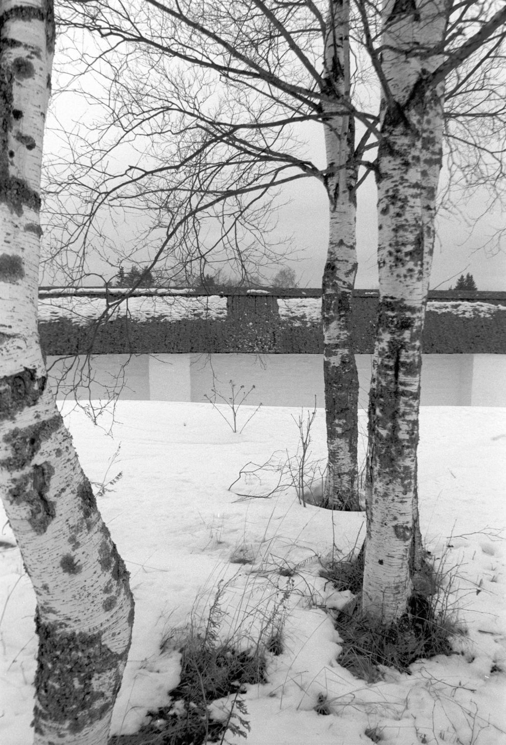 Ferapontovo
Russia. Vologda Region. Kirillovskii District
Ferapontov Monastery of Nativity of the Mother of God
North wall
2001-04-01
© Photographs by William Brumfield